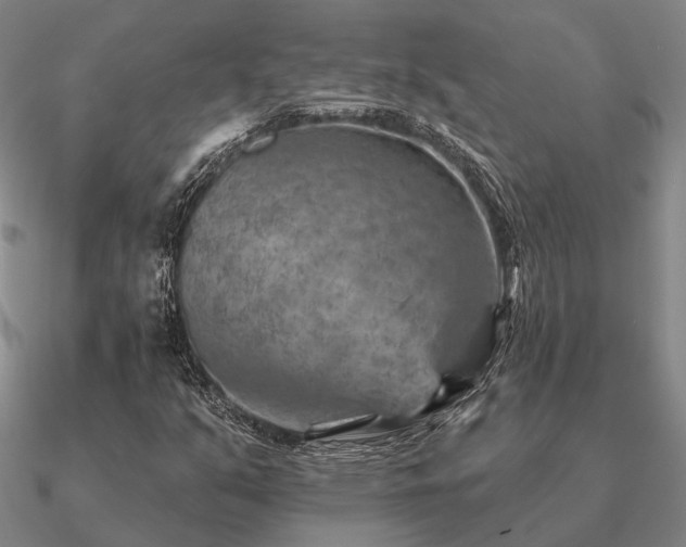 X0000090931351200708061555