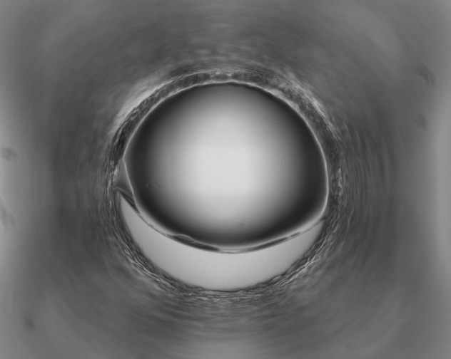 X0000090931352200708061555
