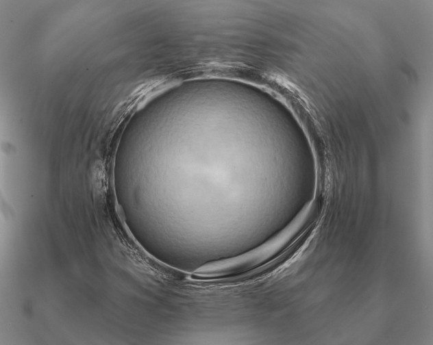 X0000090931353200708061555