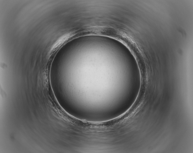X0000090931354200708061555