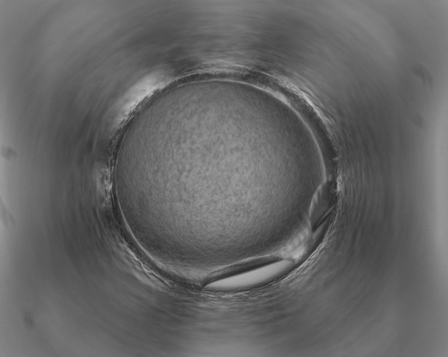 X0000090931355200708061555