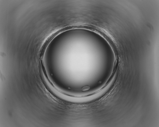 X0000090931356200708061555