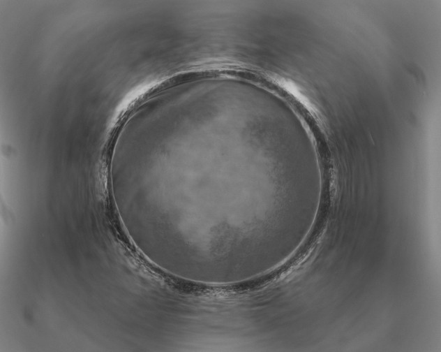 X0000090931358200708061555