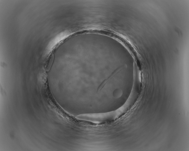 X0000090931359200708061555