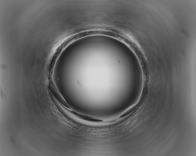 X0000090931360200708061555