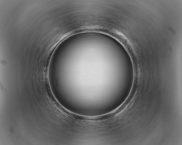 X0000090931361200708061555