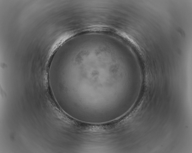 X0000090931362200708061555