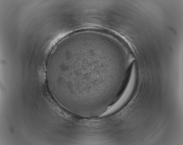 X0000090931363200708061555