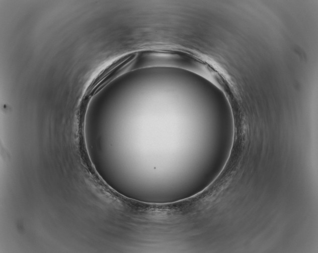 X0000090931364200708061555