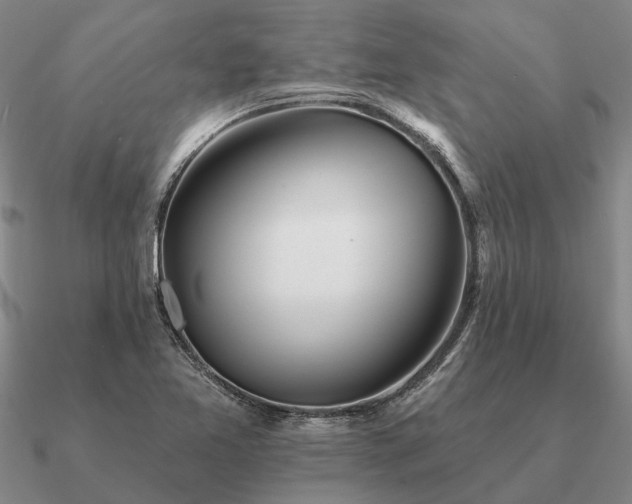 X0000090931365200708061555