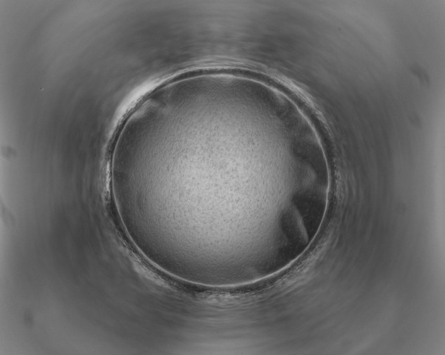 X0000090931366200708061555