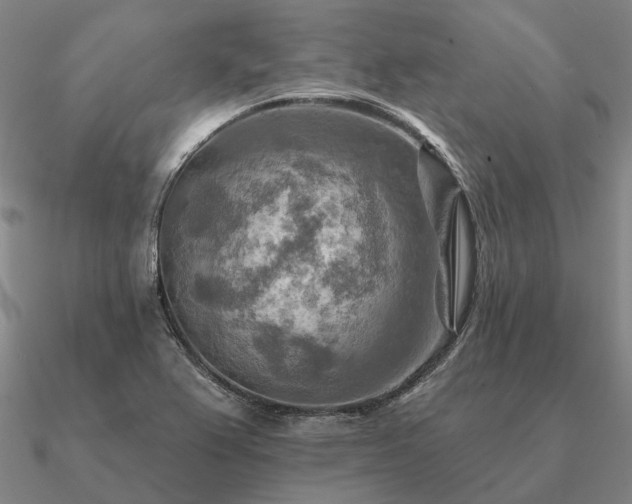 X0000090931367200708061555