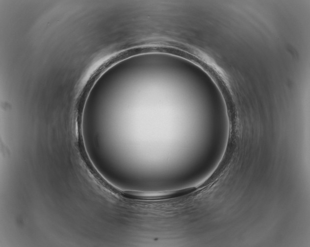 X0000090931368200708061555