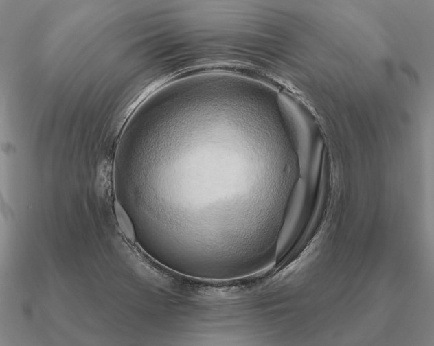 X0000090931369200708061555