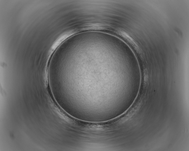 X0000090931370200708061555