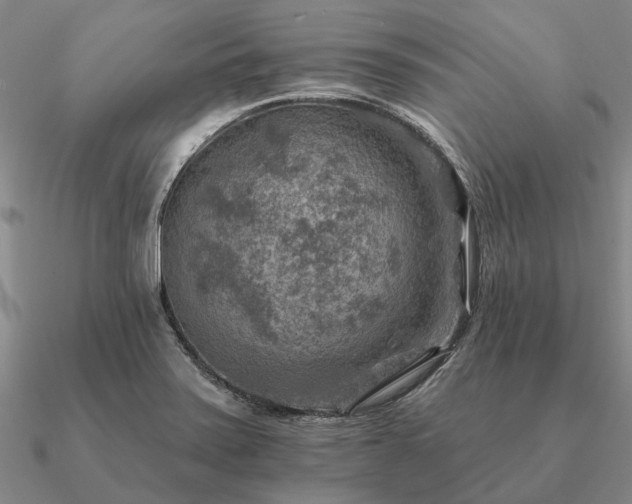 X0000090931371200708061555