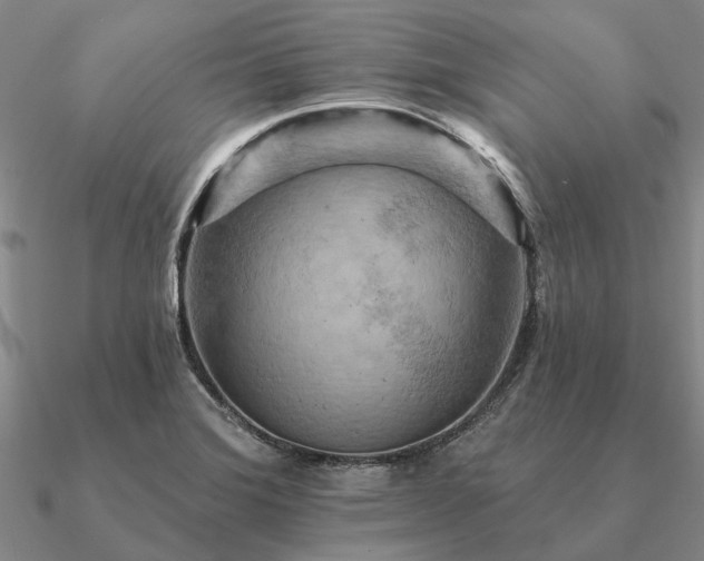 X0000090931372200708061555