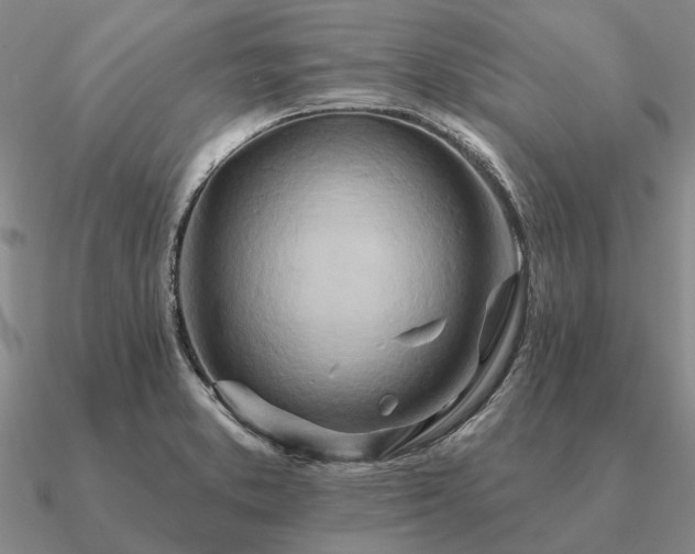 X0000090931373200708061555