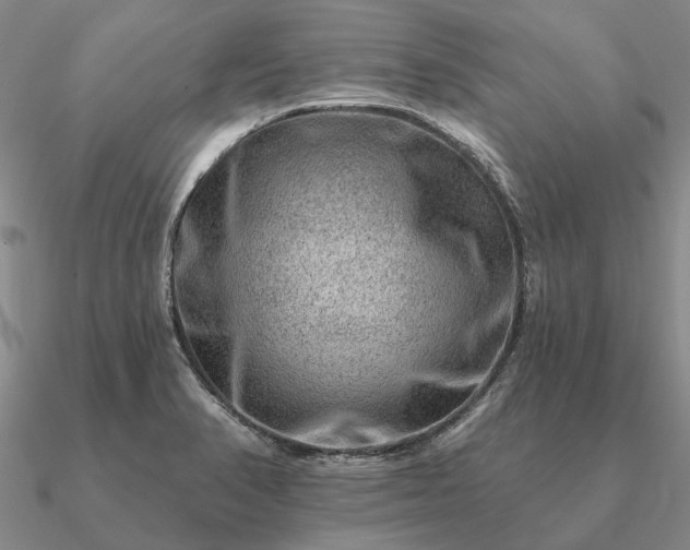 X0000090931374200708061555
