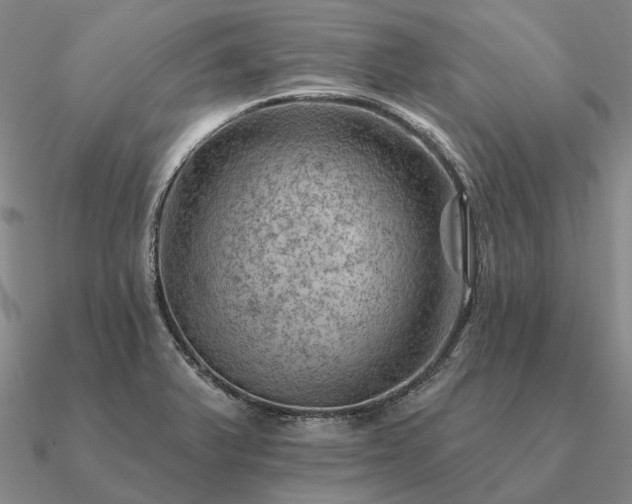 X0000090931375200708061555