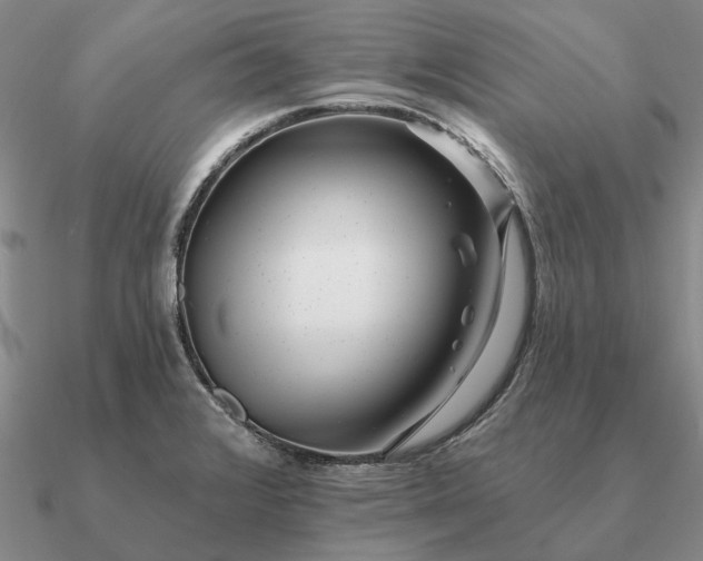 X0000090931376200708061555