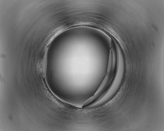 X0000090931377200708061555