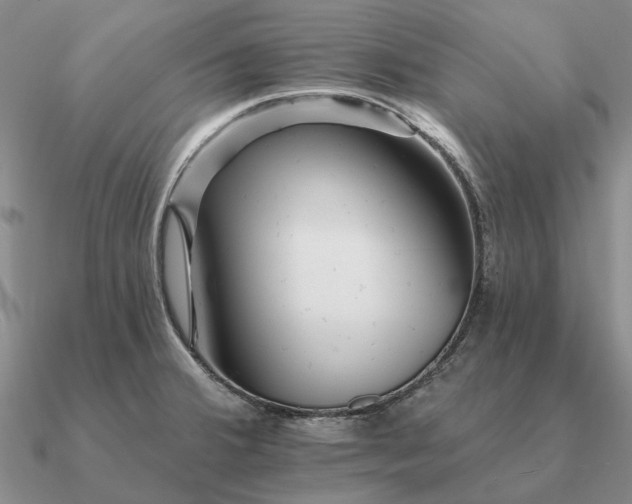 X0000090931380200708061555
