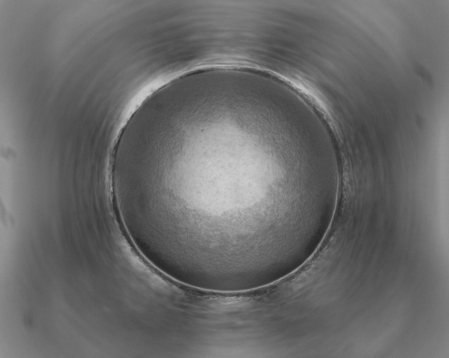 X0000090931382200708061555