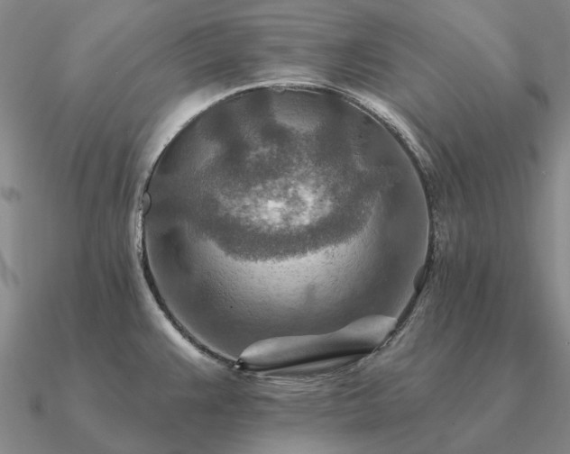 X0000090931383200708061555