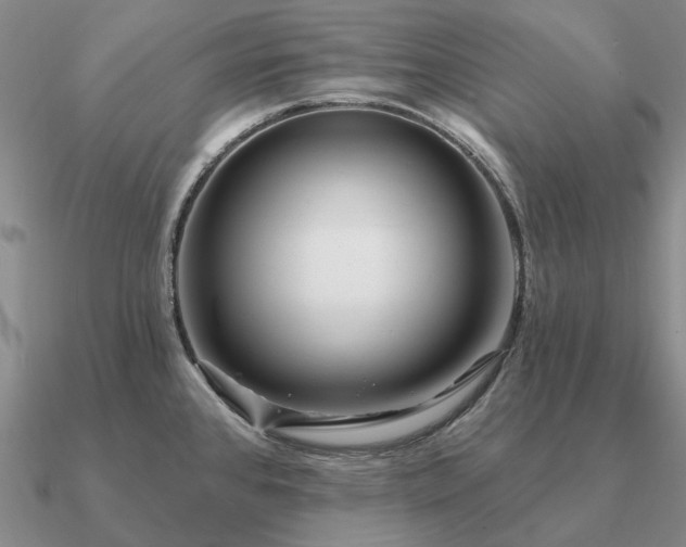 X0000090931384200708061555