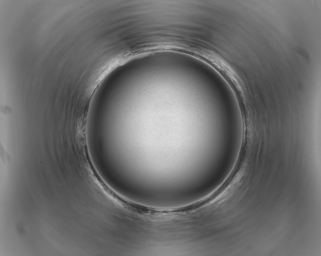 X0000090931385200708061555