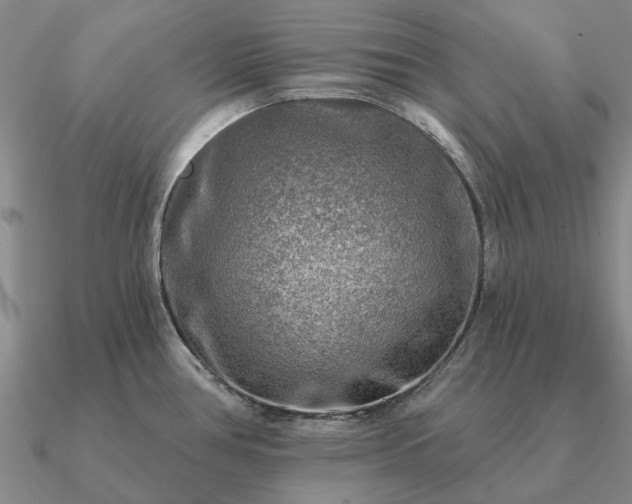 X0000090931386200708061554