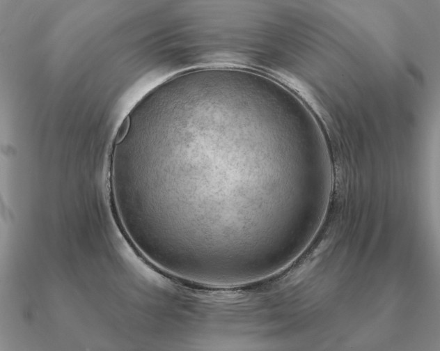 X0000090931387200708061554