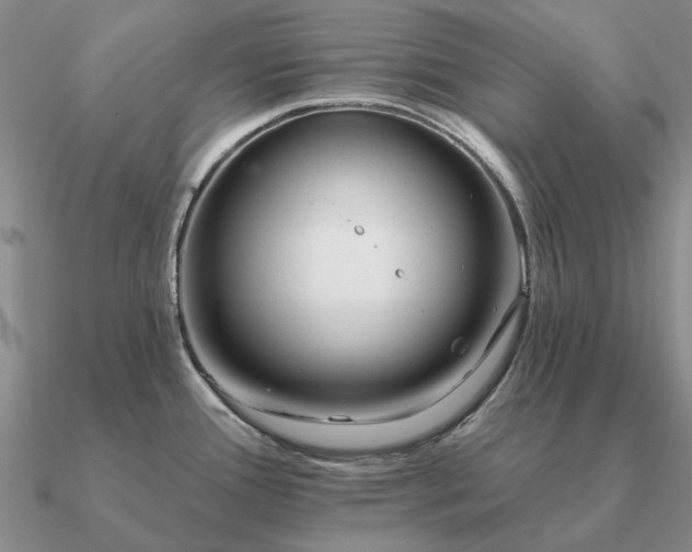 X0000090931388200708061554