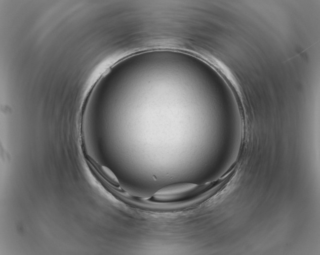 X0000090931389200708061554
