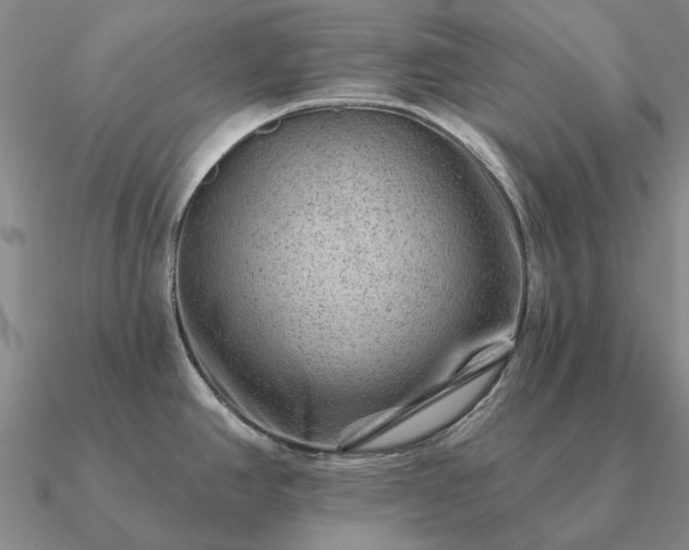 X0000090931390200708061554