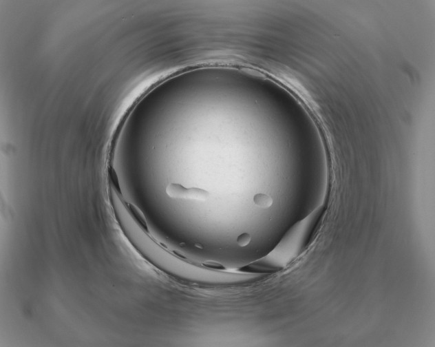 X0000090931392200708061554