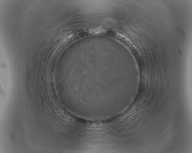 X0000090931393200708061554