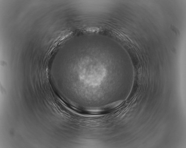 X0000090931394200708061554
