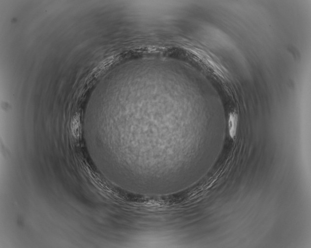 X0000090931395200708061554