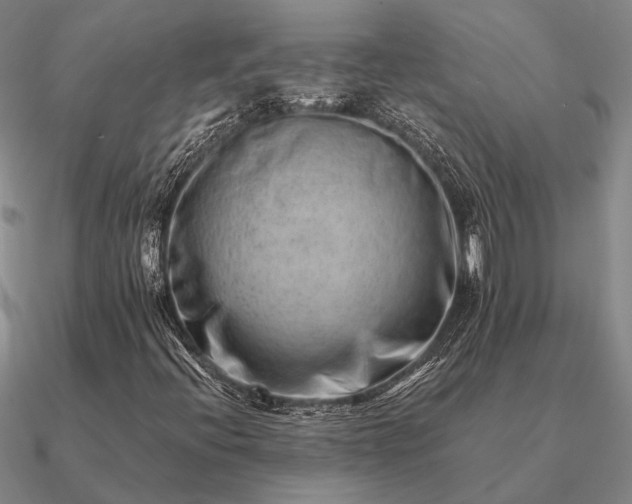 X0000090931396200708061554
