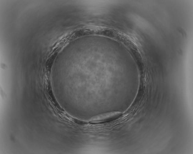 X0000090931397200708061554