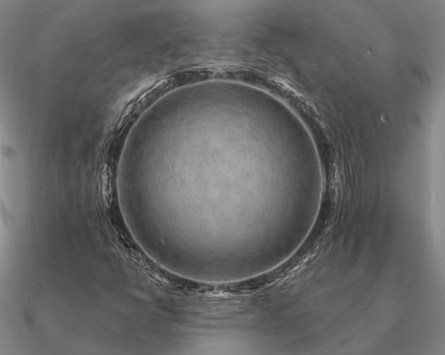 X0000090931398200708061554