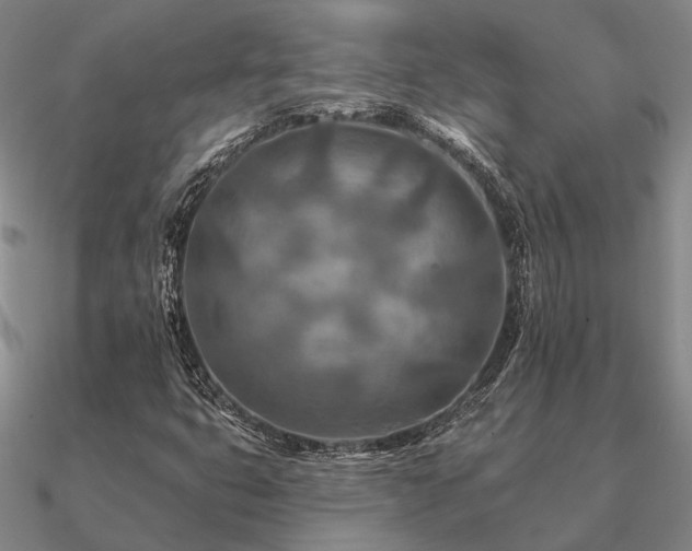 X0000090931399200708061554