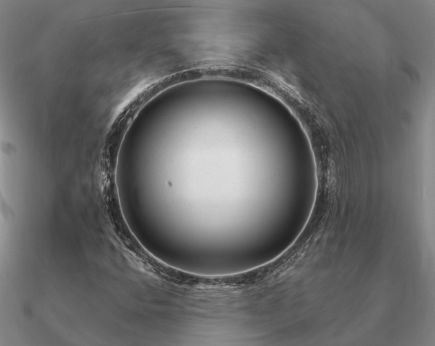 X0000090931400200708061554