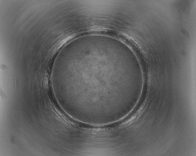 X0000090931401200708061554