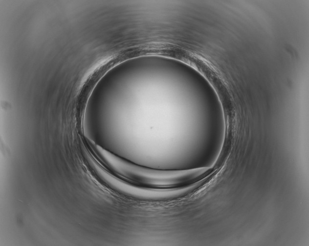 X0000090931402200708061554