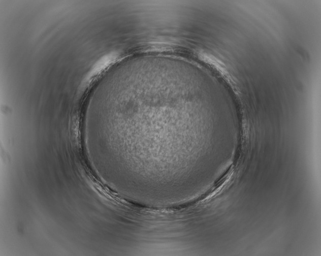 X0000090931403200708061554