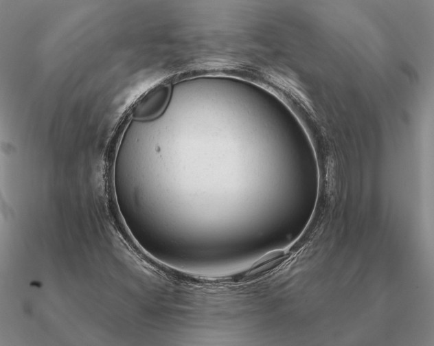 X0000090931404200708061554