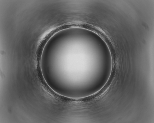 X0000090931406200708061554
